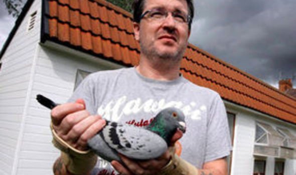 Stuart Fawcett with one of his racing birds